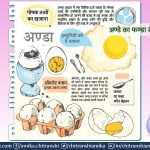 अण्डे का फण्डा सेहत से इम्यूनिटी तक