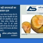 बड़हल – बड़ी समस्याओं का आसान हल - Aahar Samhita by Dietician Amika