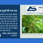 नीम – लाख दुःखों की एक दवा - नीम का फल - Aahar Samhita by Dietician Amika