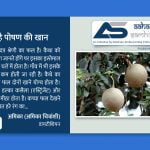 कैथा है पोषण की खान - Aahar Samhita by Dietician Amika