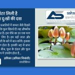 वॉटर लिली है लाख दु:खों की दवा - Aahar Samhita by Dietician Amika