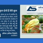 कद्दू और फूल दोनों हैं वेरी कूल - Aahar Samhita by Dietician Amika