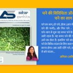 चने की विविधिता और मिंजनी - चने का साग - Aahar Samhita by Dietician Amika