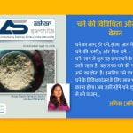 चने की विविधिता और मिंजनी - बेसन - Aahar Samhita by Dietician Amika