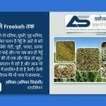 ऊँमी से Freekeh तक - Aahar Samhita by Dietician Amika