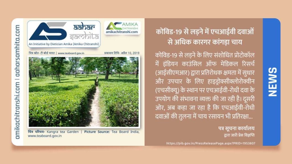 कोविड-19 से लड़ने में एचआईवी दवाओं से अधिक कारगर कांगड़ा चाय - Aahar Samhita by Dietician Amika